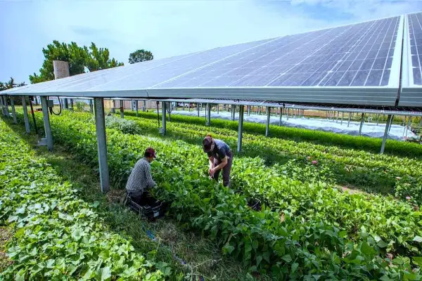 Agricultural Investors